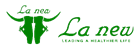 Lanew Webmail